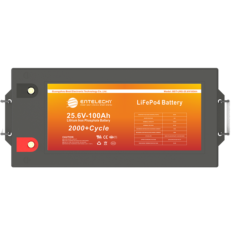 25.6V 100AH LiFePo4 Battery